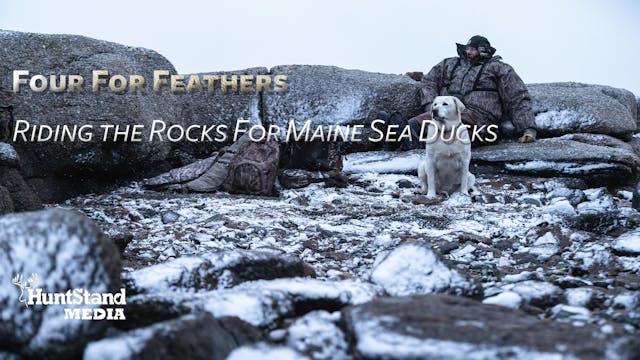 Riding the Rocks For Maine Sea Ducks ...