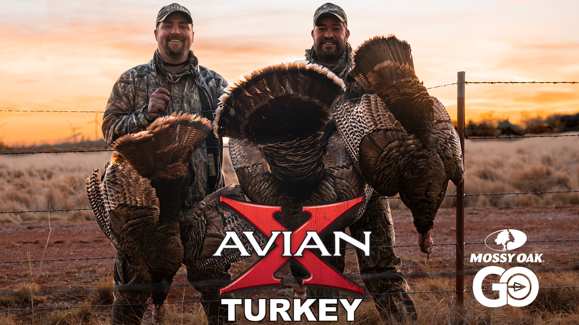 RUTnSTRUT pt1 • Avian X