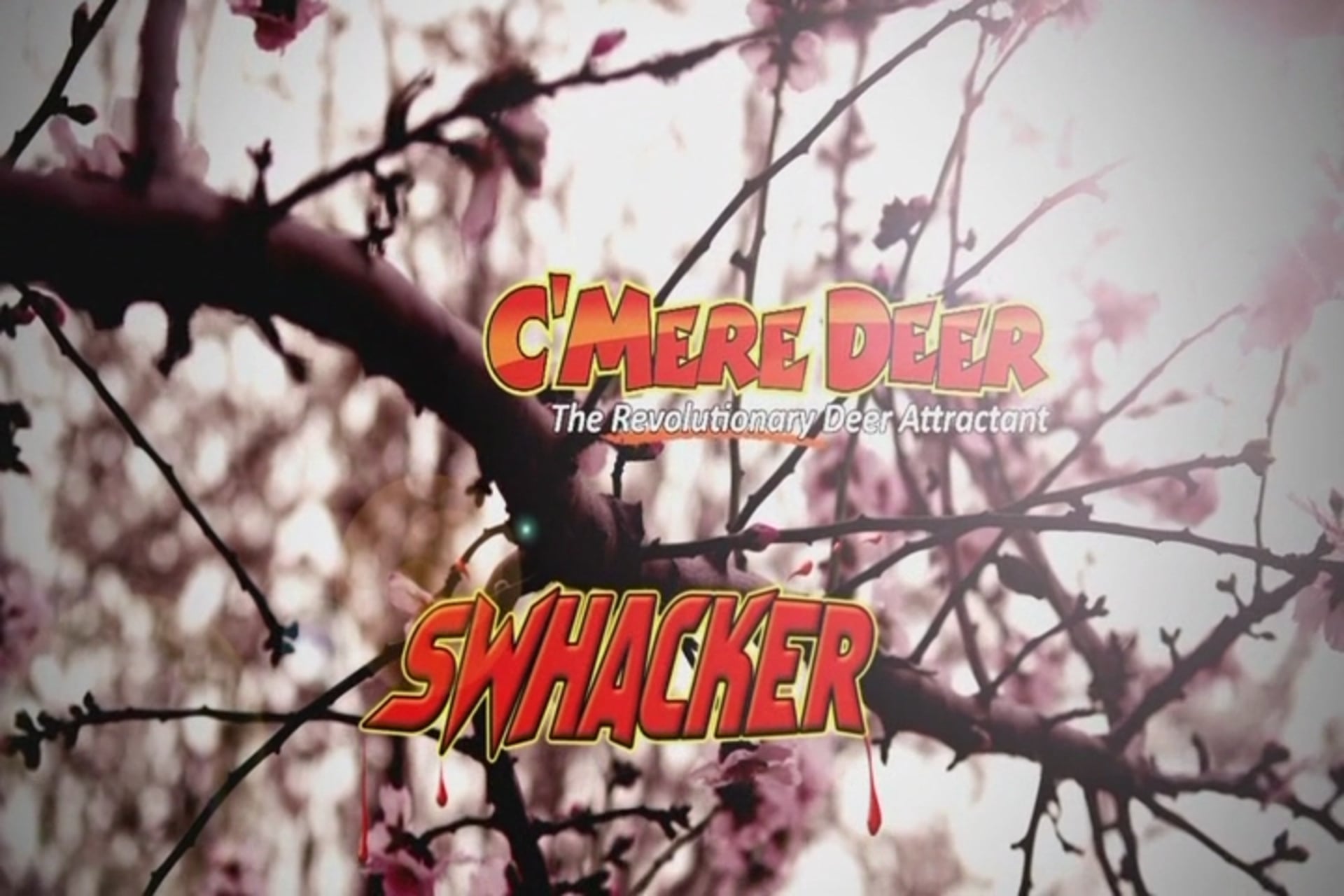 Mossy Oak Properties pt 2 • Whitetail in TX