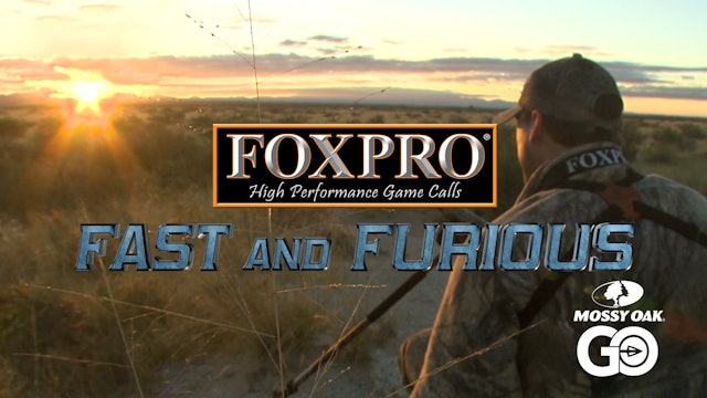 FOXPRO 1103 Arizona • Fast and Furious