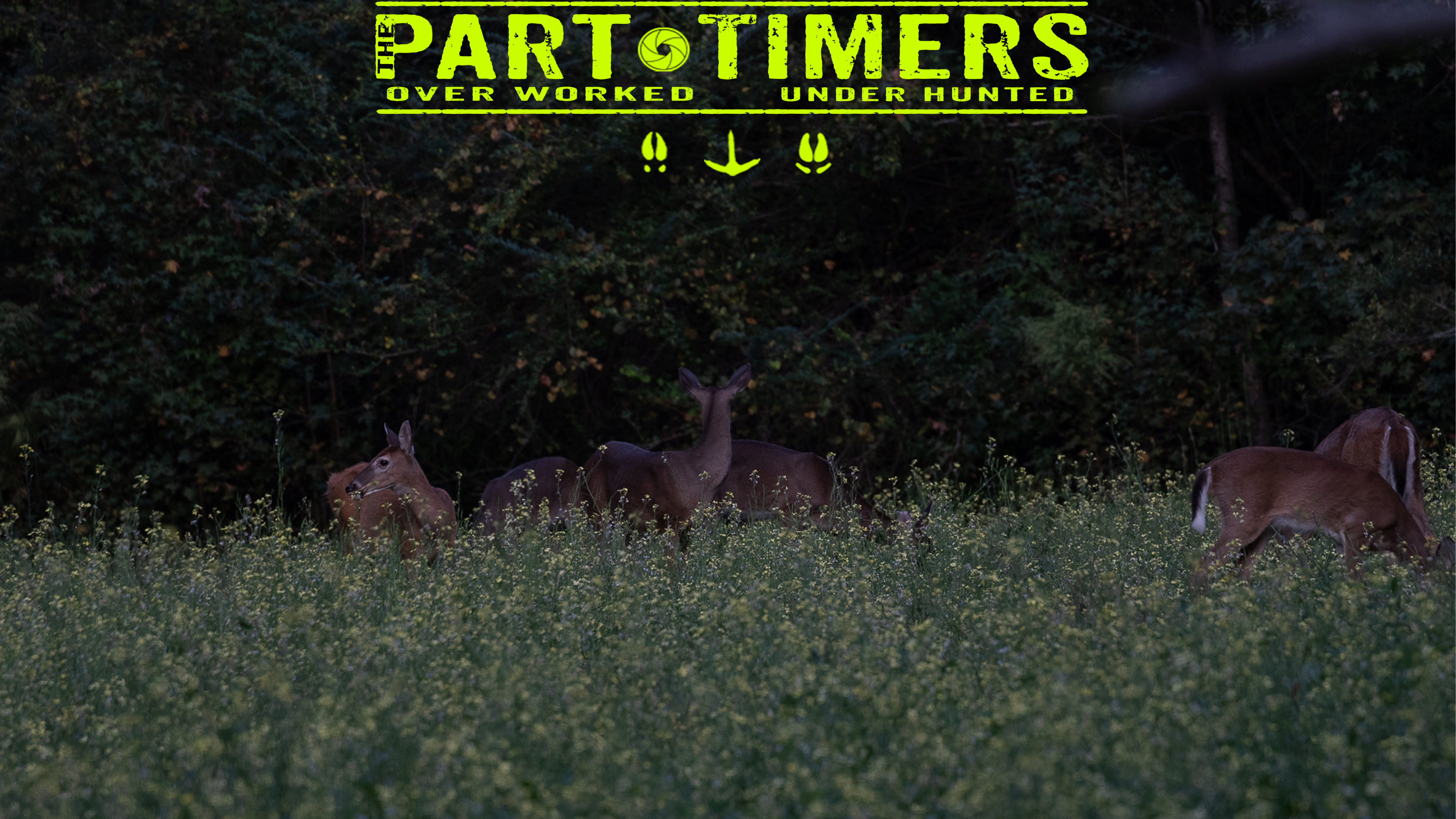 Knox Shoots His First Deer • The Part Timers