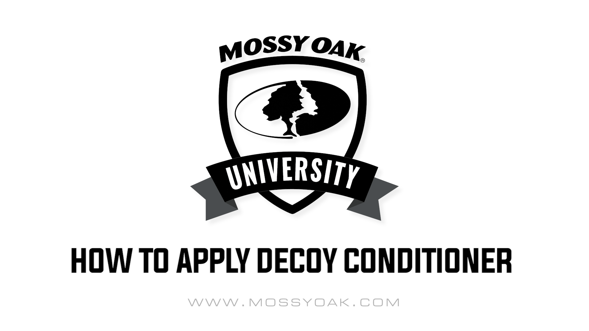 How to Apply Decoy Conditioner