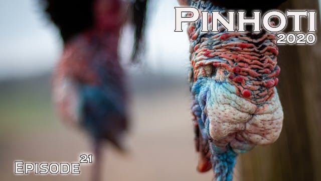Pinhoti 2020 Ep 21 • Pinhoti Project