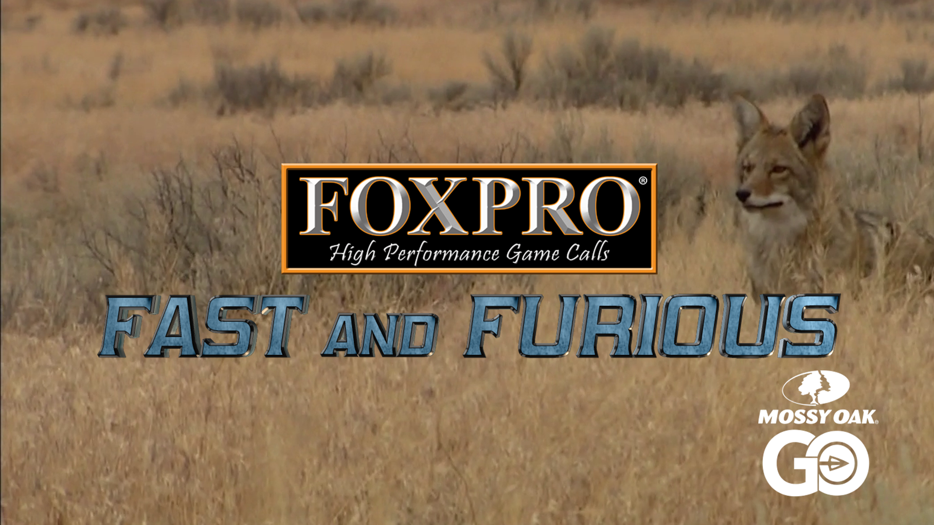FOXPRO'S Fast and Furious