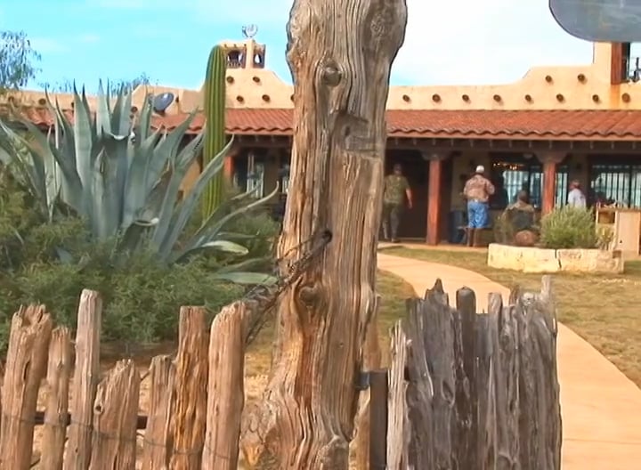 The Gate's Open • Whitetails in Texas