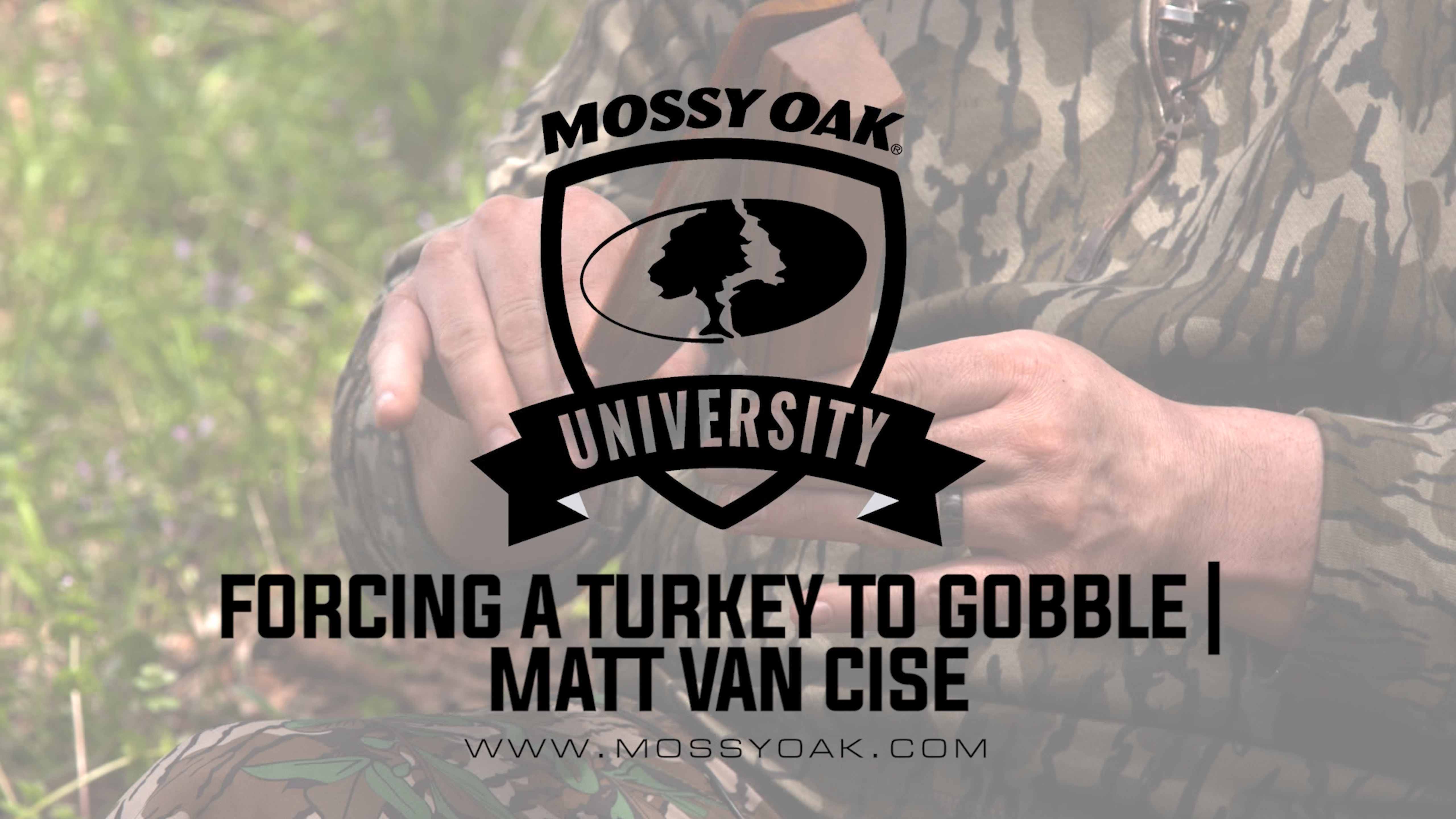 Calls That will make a Turkey Gobble