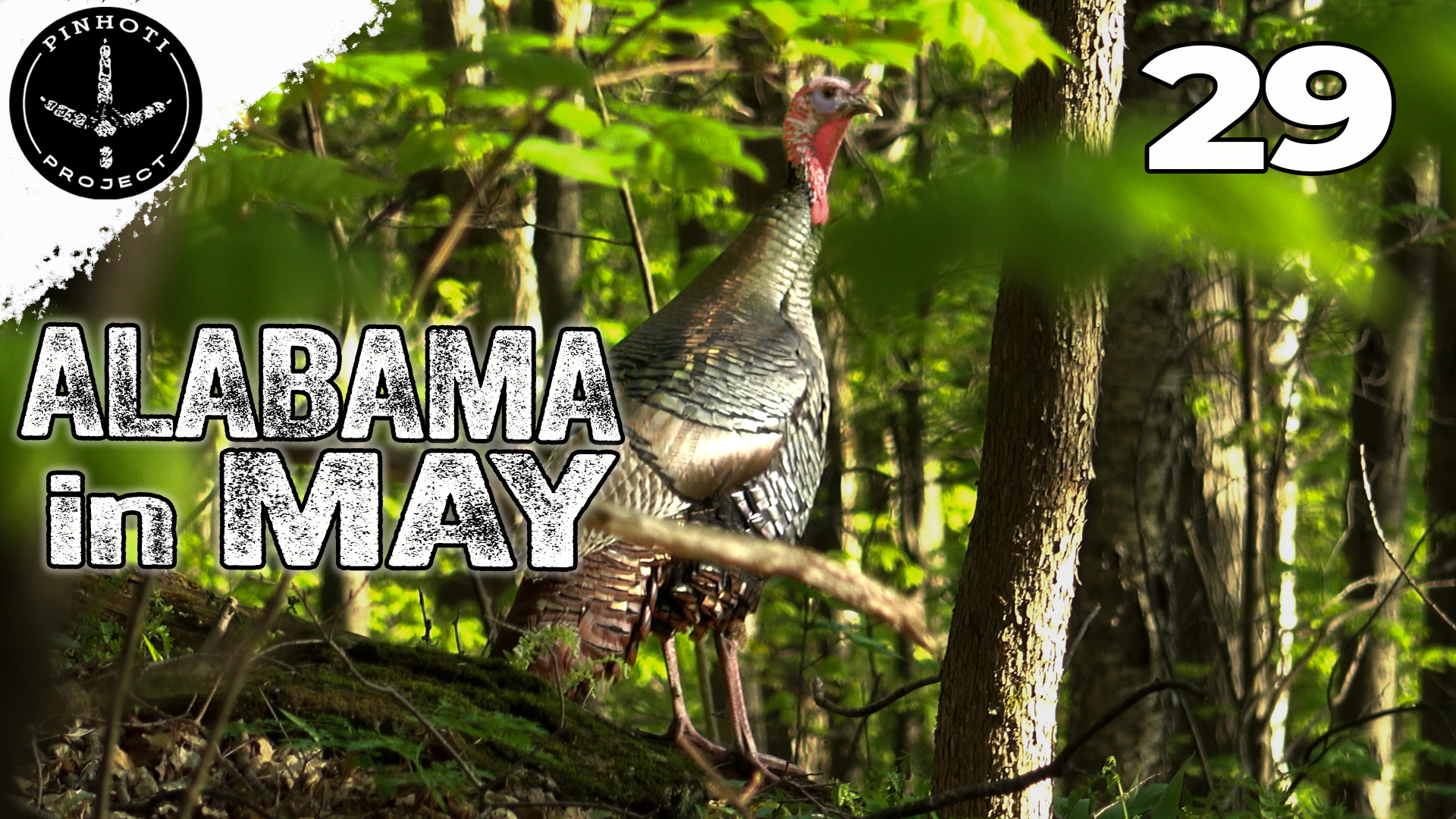 Pinhoti 2024 Ep 29 • Pinhoti Project