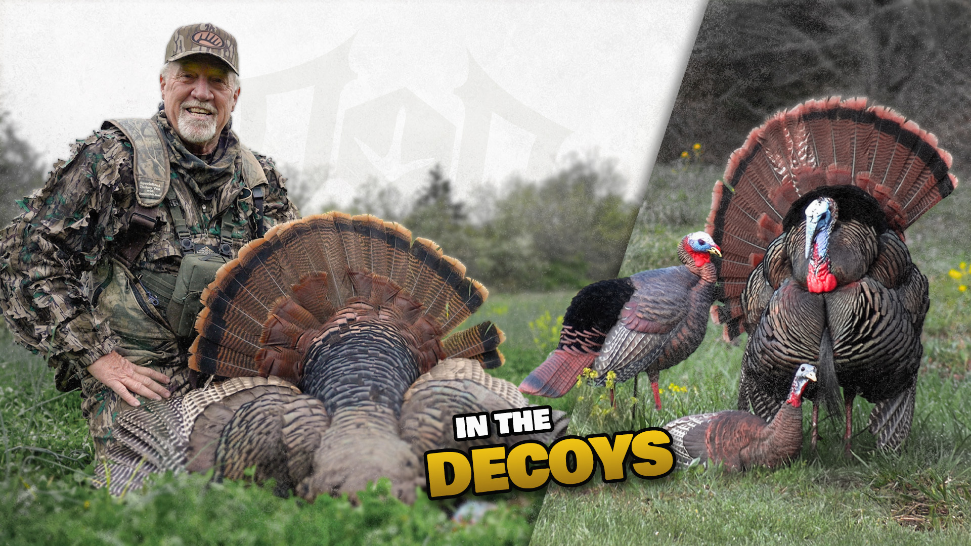 Action In the Avians, 2 Fired Up Missouri Gobblers | Turkey Season 26