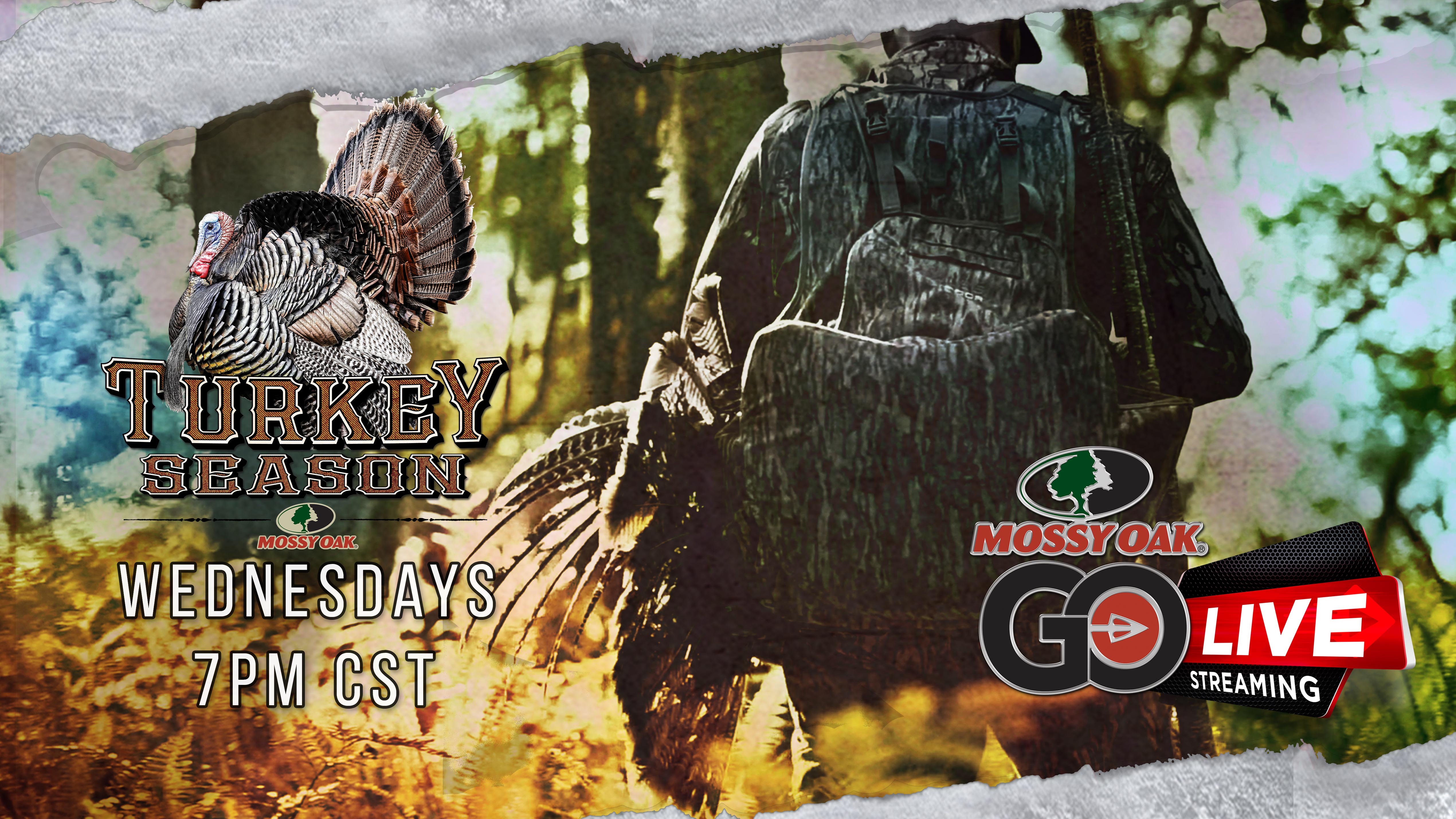 Live: 3.9.2022 Turkey Season