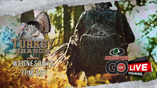Live: 3.9.2022 Turkey Season