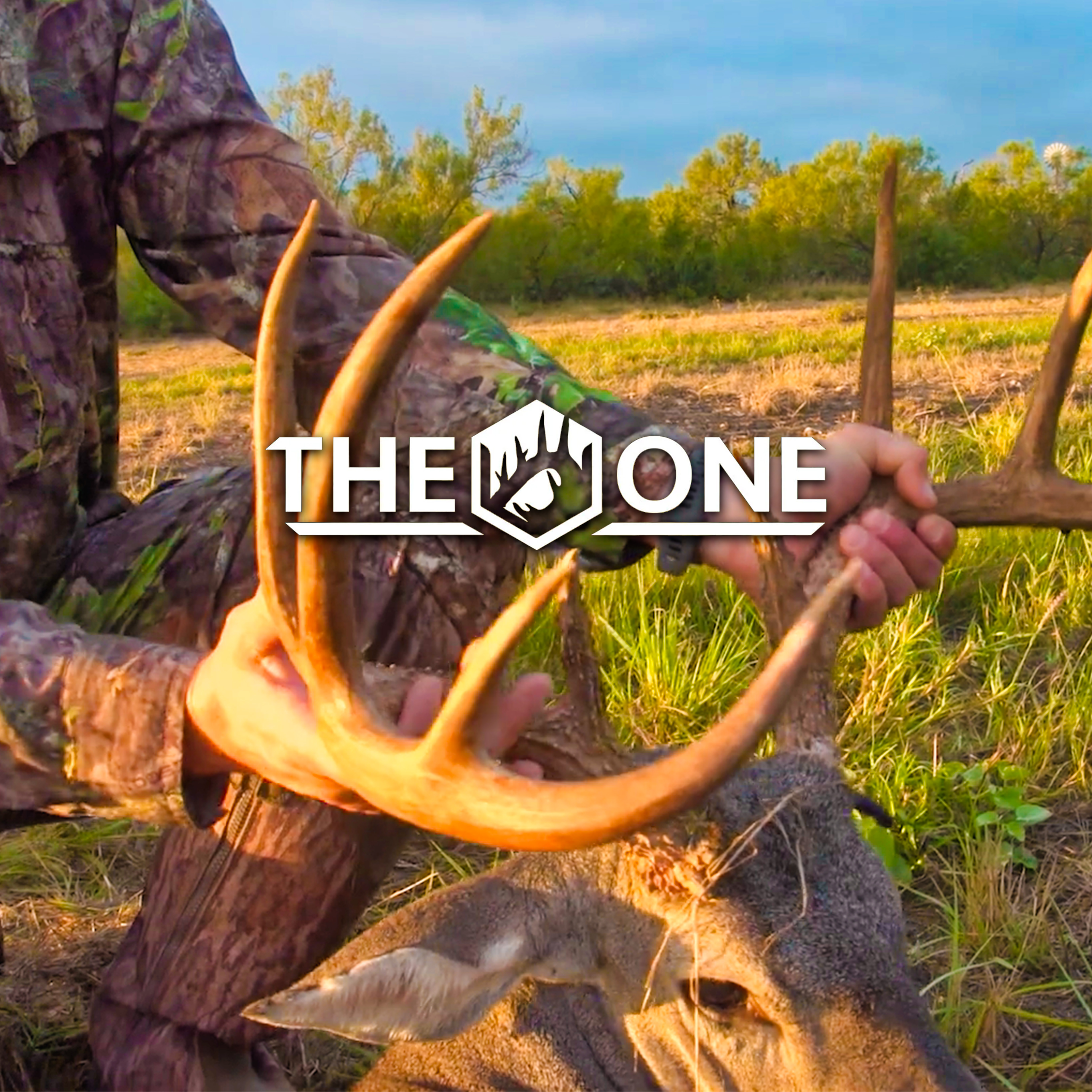 Texas Giants PT1 • The One
