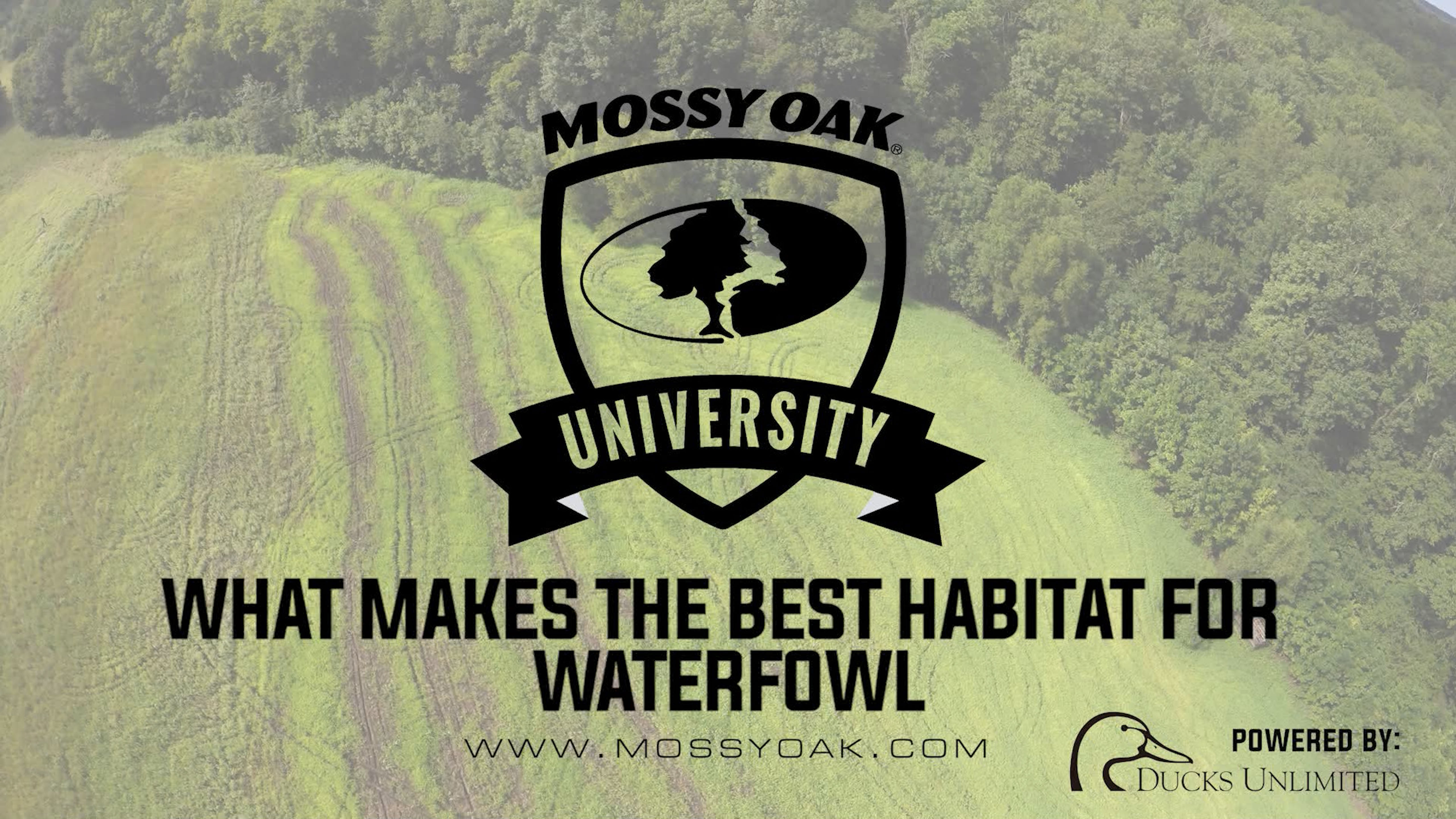 Creating Perfect Waterfowl Habitat