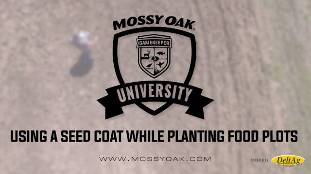 Using a Seed Coat While Planting Food...