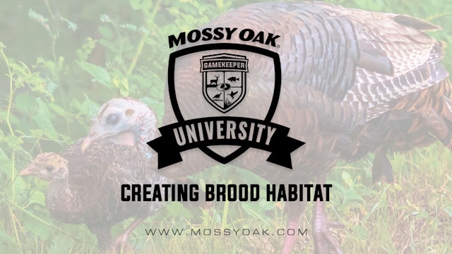 Creating Brood Habitat