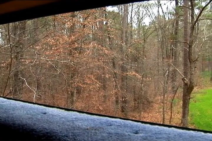 Dr. Do Right • Whitetails in Mississippi