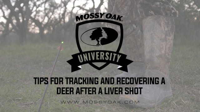 Tracking A Deer Thats Been Shot In th...