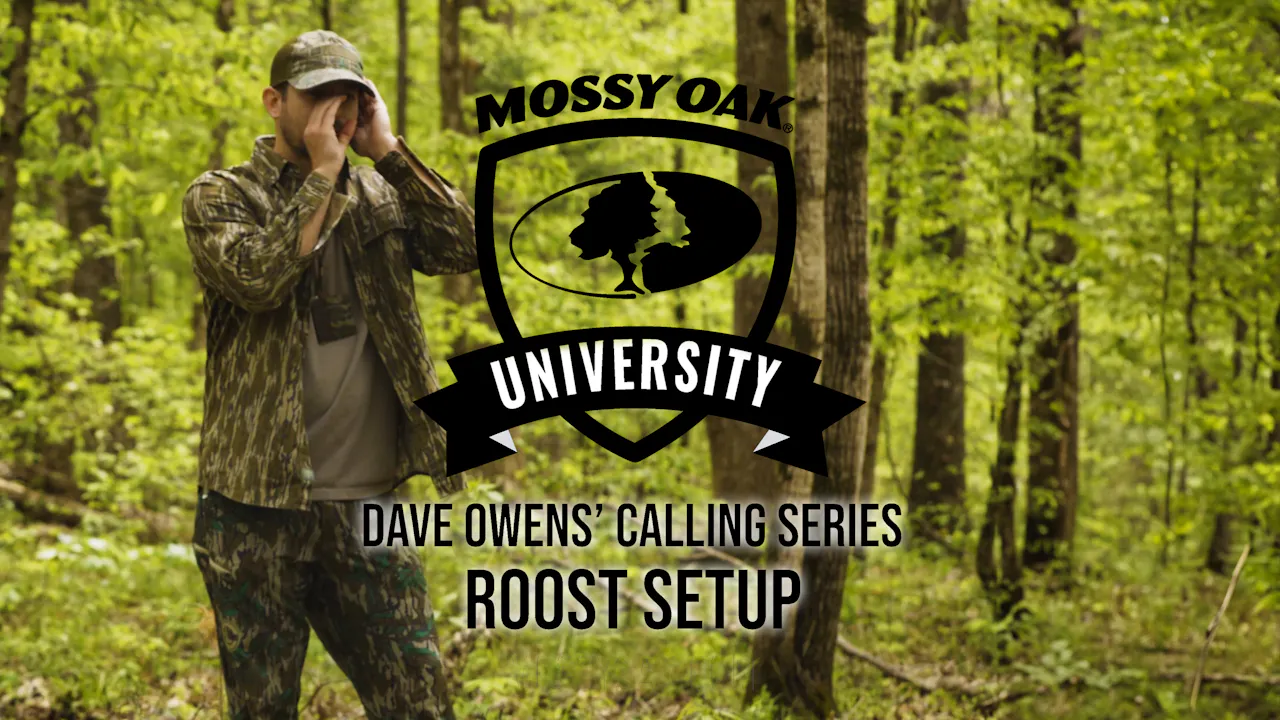 Dave Owens Turkey Calling Tips ROOST SETUP Season 1 Mossy Oak GO dave-owens-turkey-calling-tips-roost-setup-season-1-mossy-oak-go