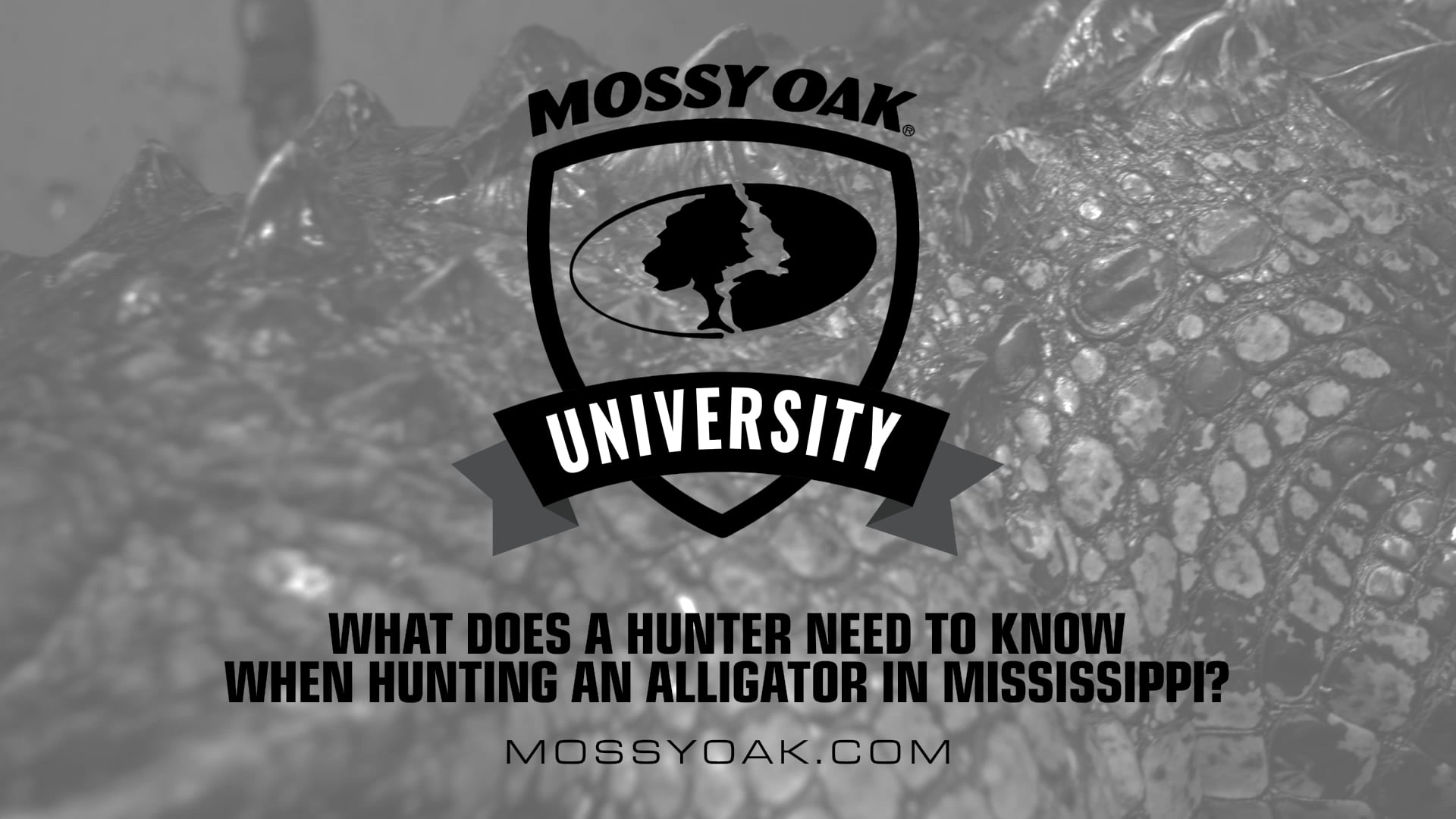 What Does a Hunter Need To Know When Hunting an Alligator • Mossy Oak University