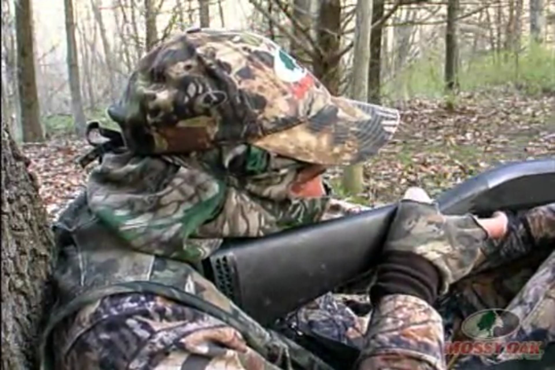 Gobblers in the Thicket