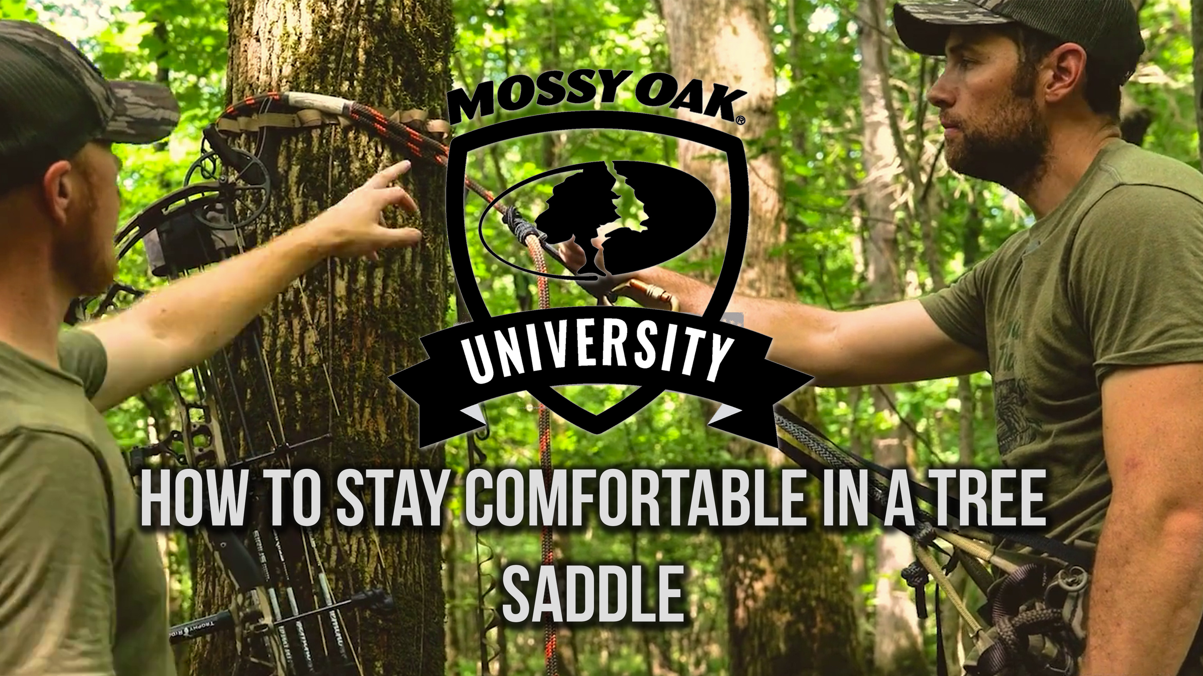 How to Stay Comfortable in a Tree Saddle