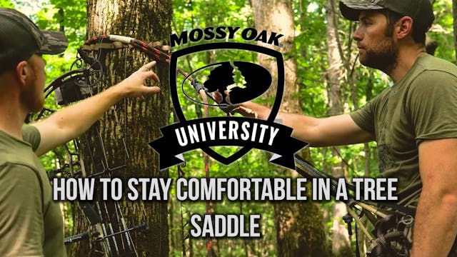 How to Stay Comfortable in a Tree Saddle