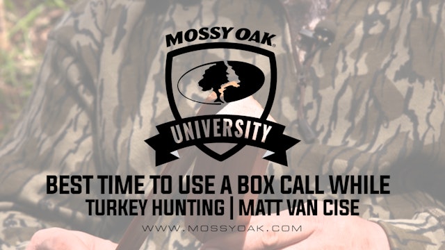 Best Times to Use a Box Call When Turkey Hunting - Matt Van Cise
