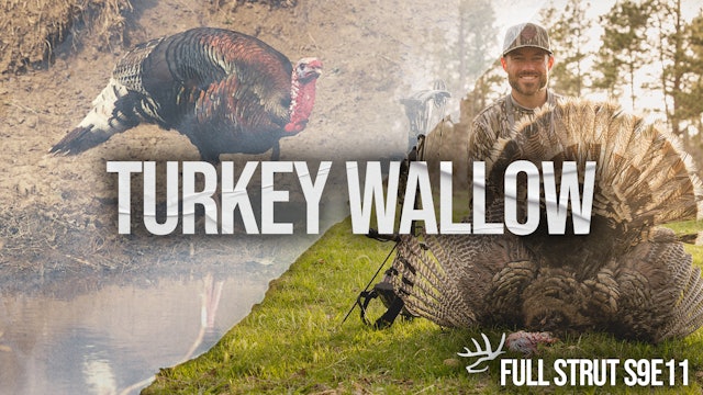 Full Strut • Episode 11 •  Turkey Wallow