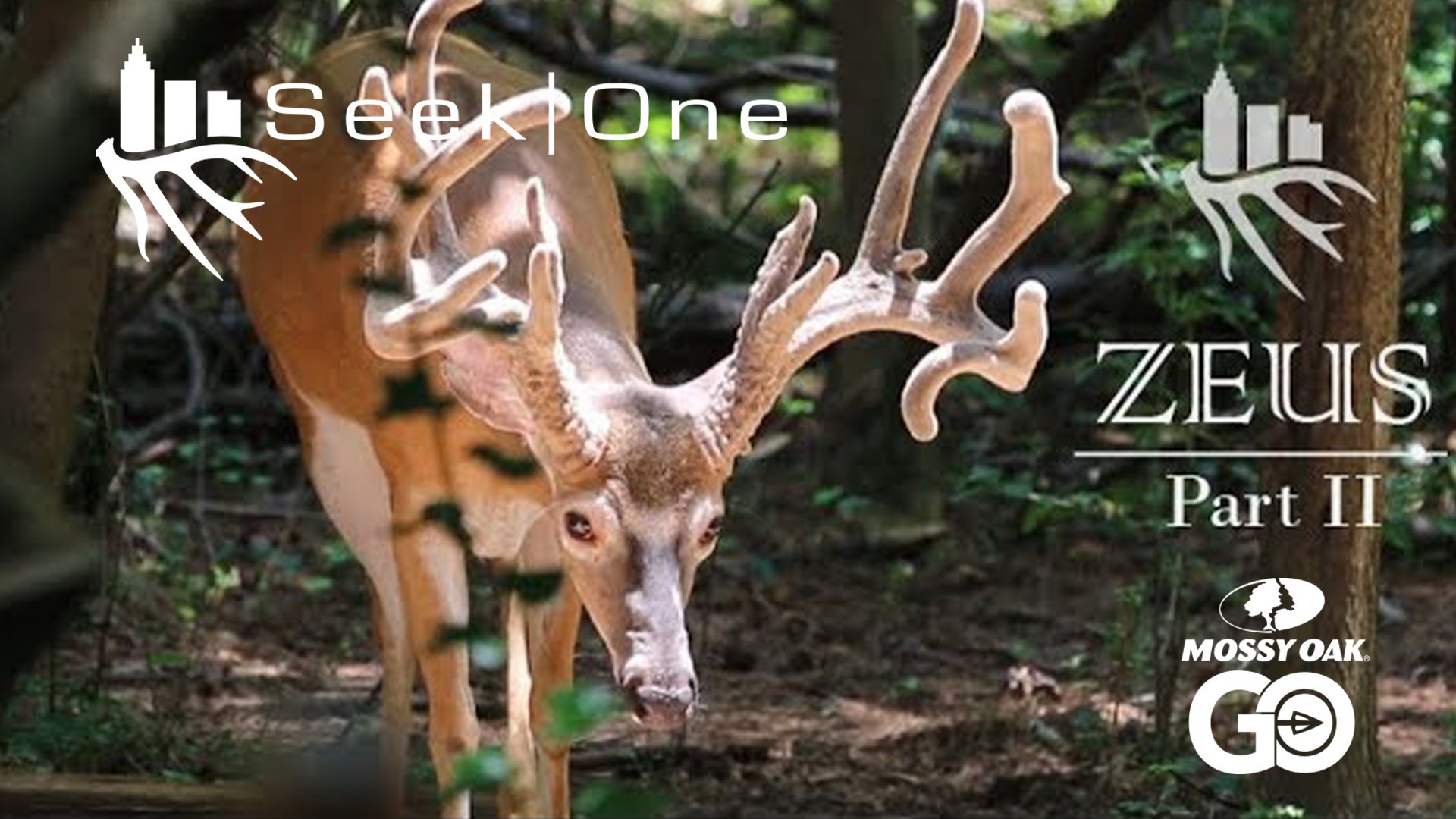 Zeus II • Seek One