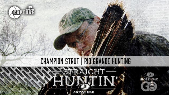 Champion Strut • Rio Grande Hunting • Straight Huntin'