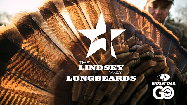 The Lindsey Way Longbeards