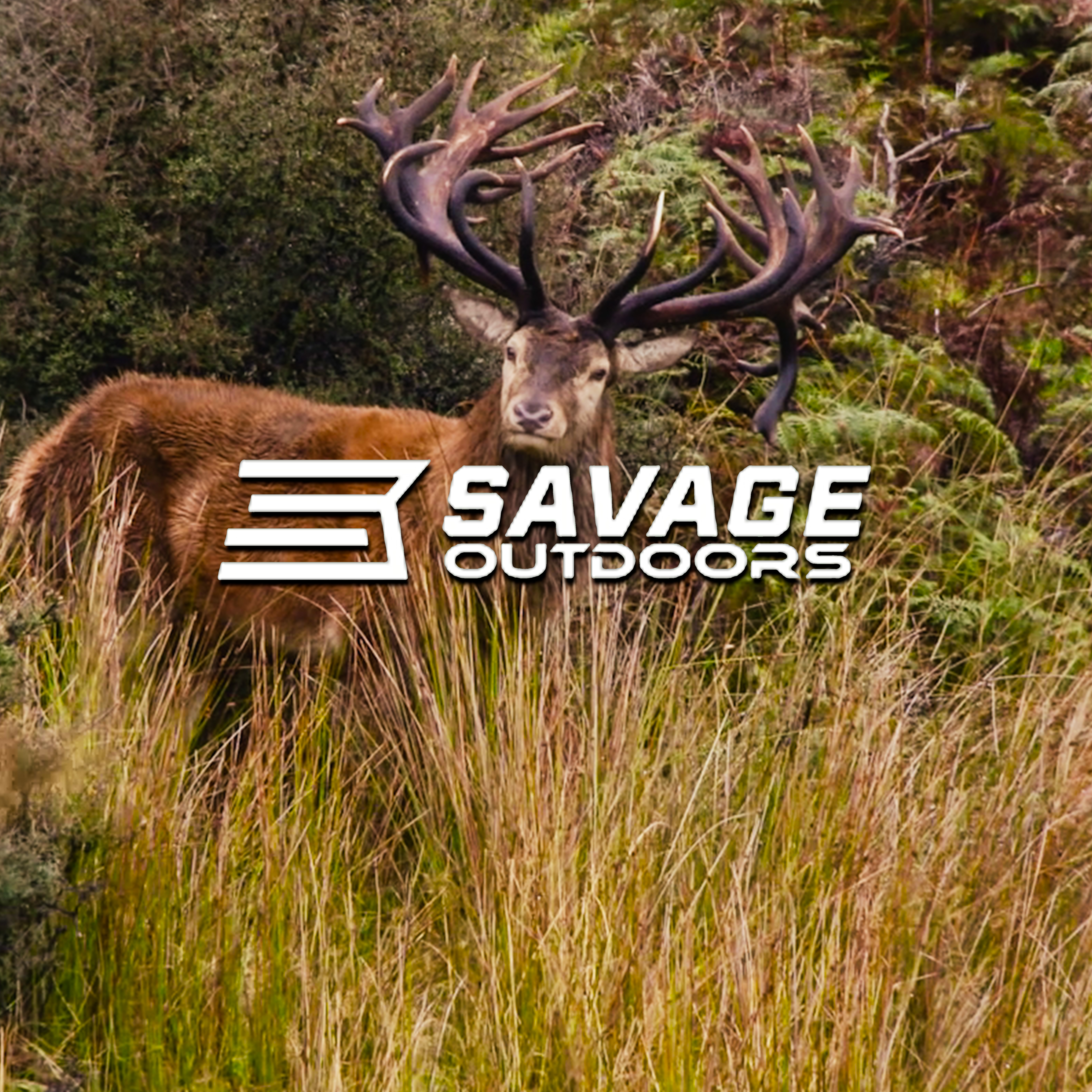 Kiwi • Savage Outdoors