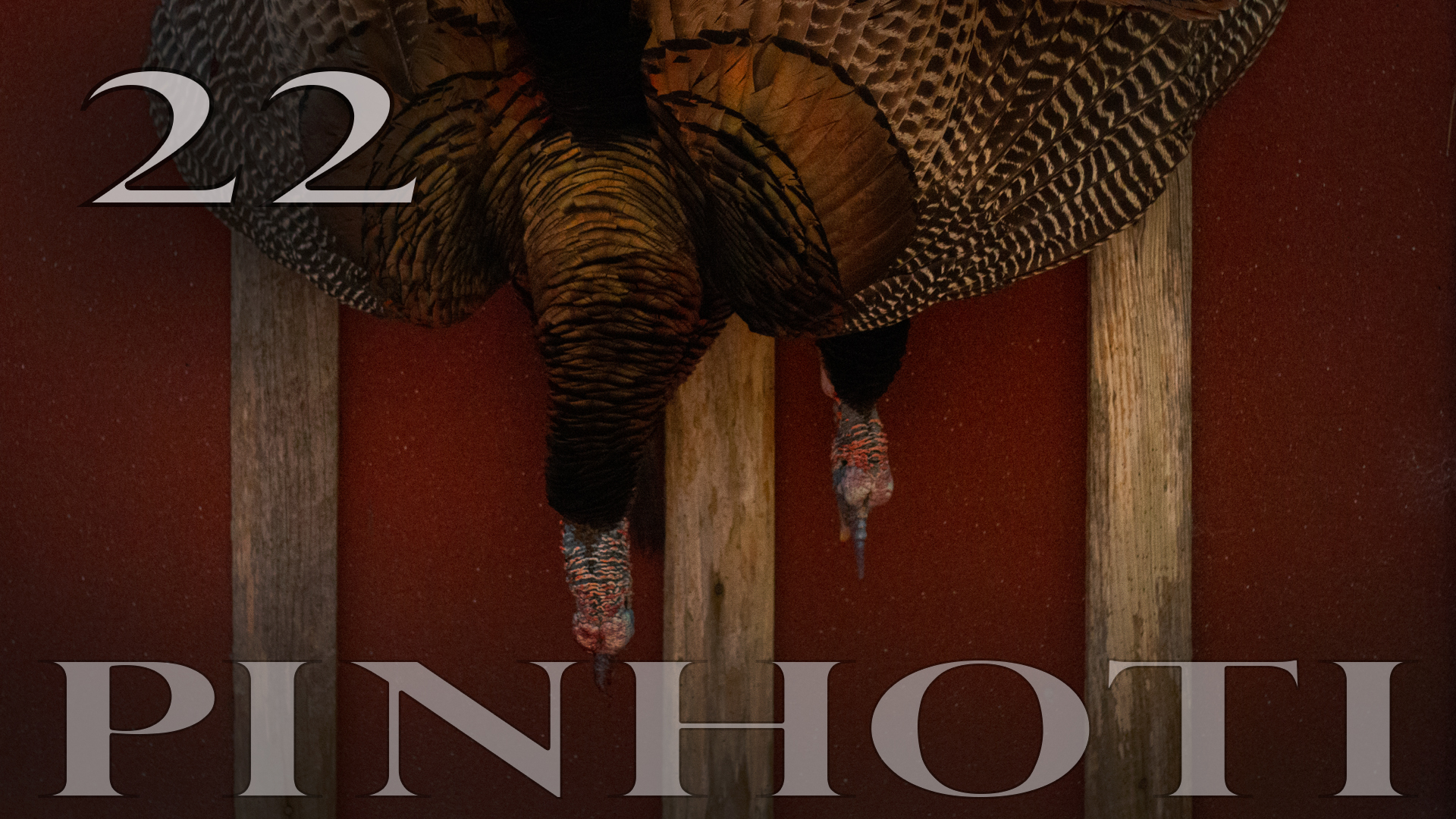 Pinhoti 2022 Ep 22 • Pinhoti Project