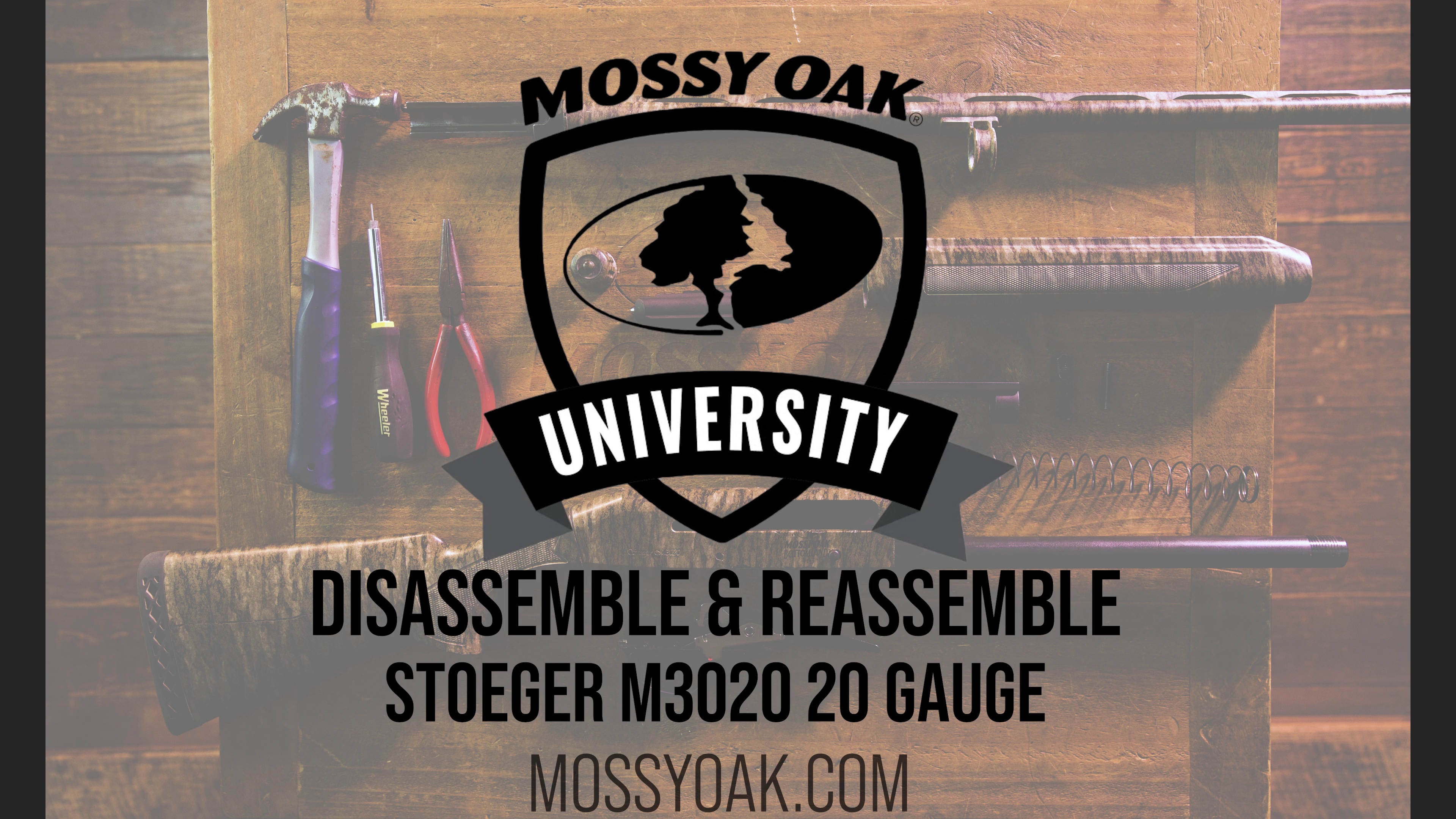 Stoeger M3020 20 Gauge Breakdown Guide