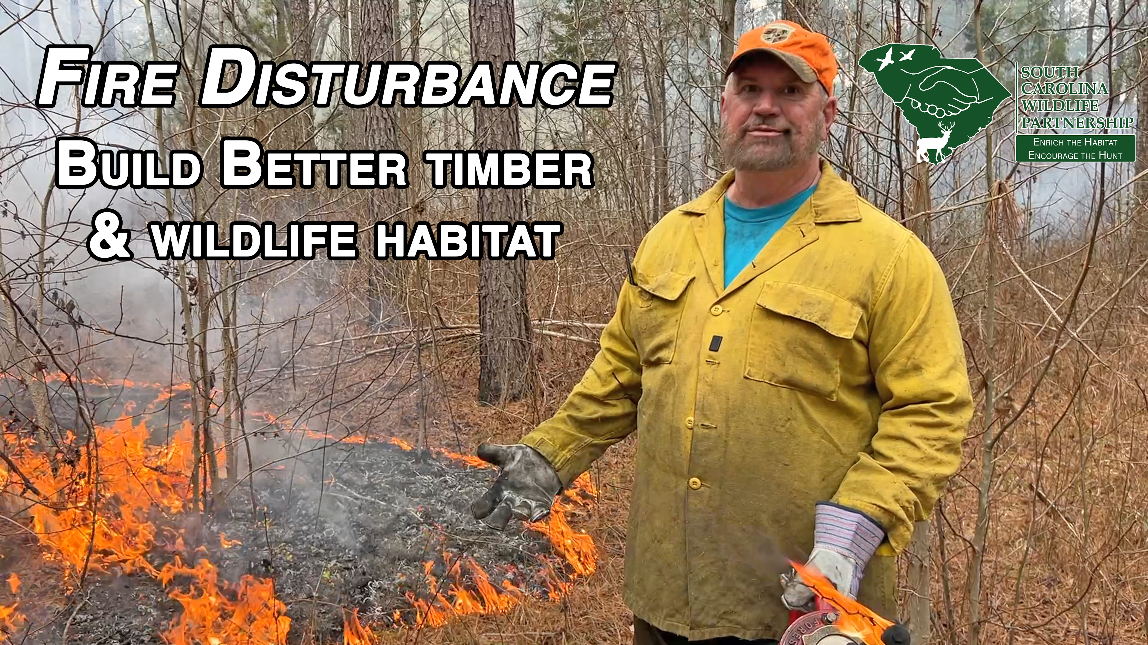 Fire Disturbance • Enrich The Habitat Encourage The Hunt