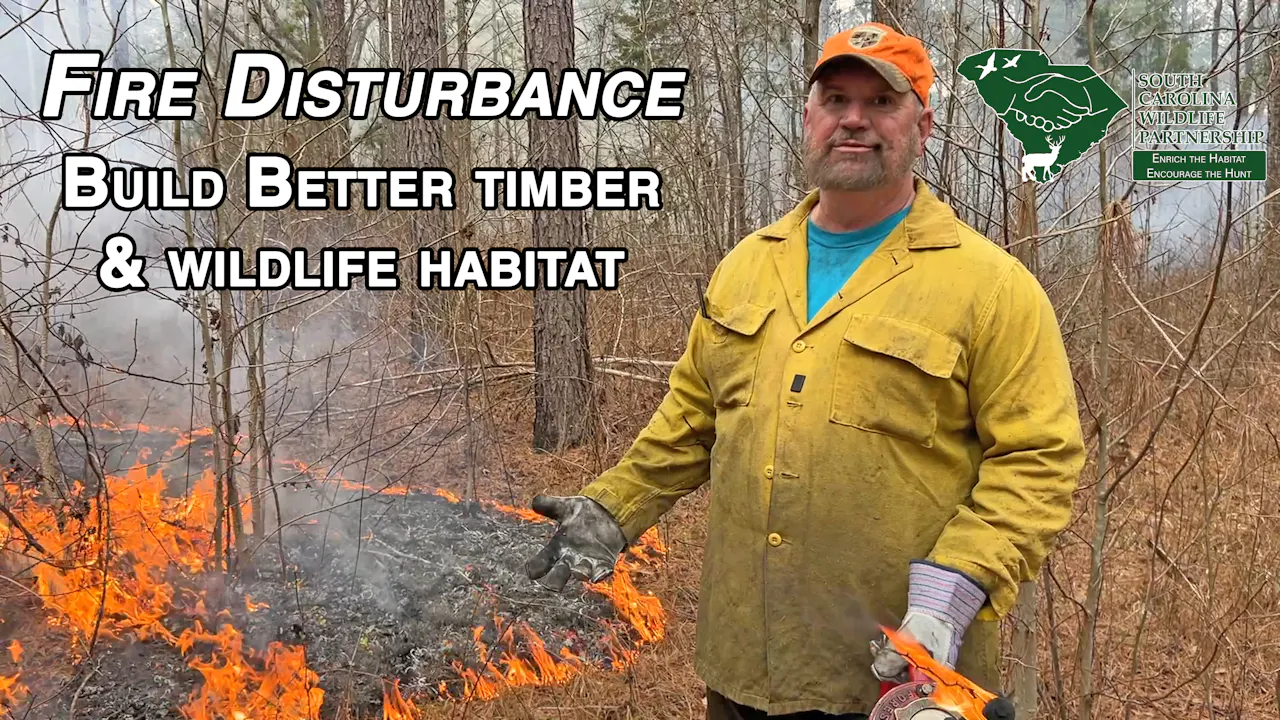 Fire Disturbance • Enrich The Habitat Encourage The Hunt - Mossy Oak GO