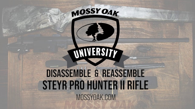 How to Disassemble and Reassemble Steyr Pro Hunter II