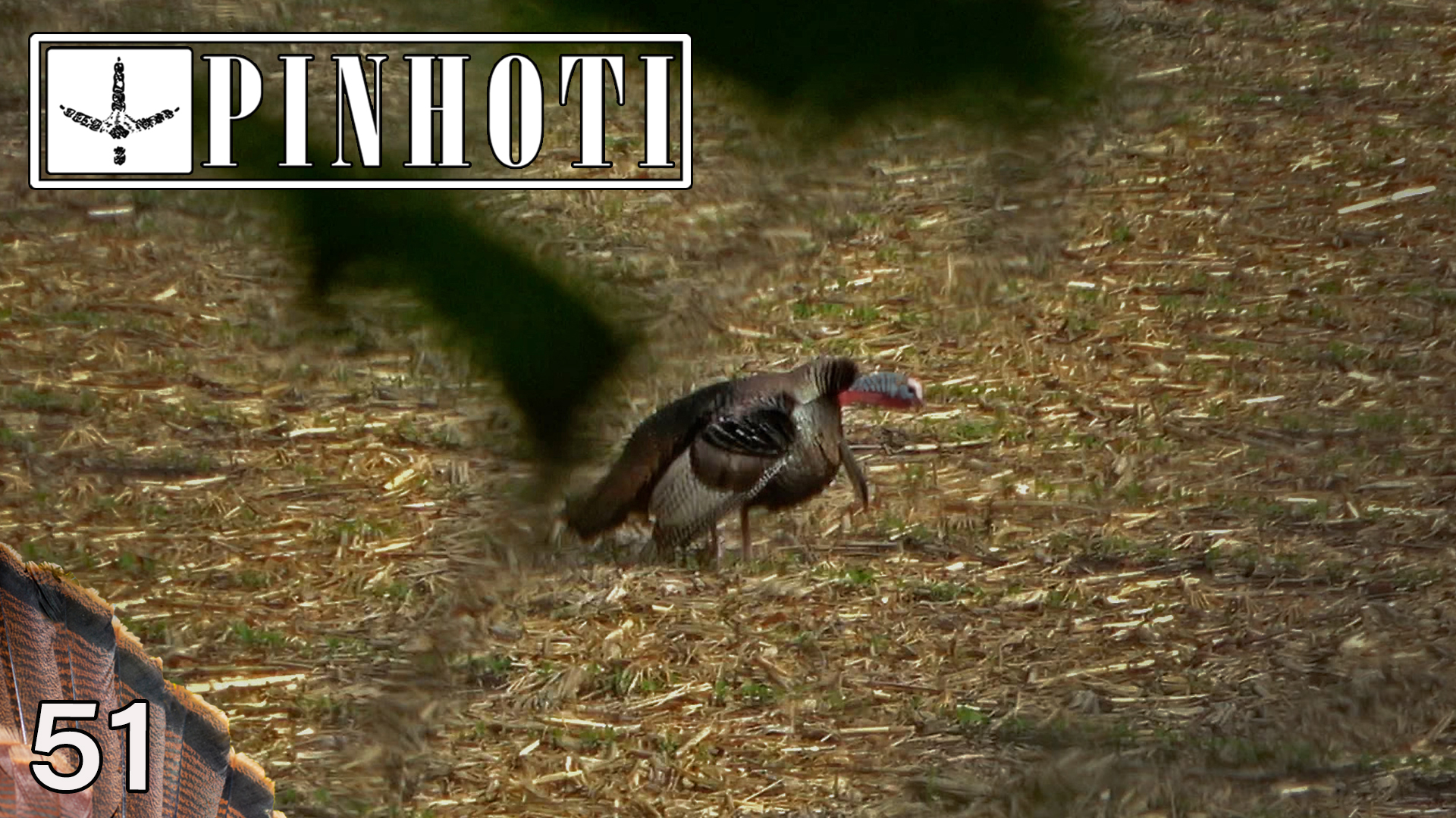 Pinhoti 2021 Ep 51 • Pinhoti Project