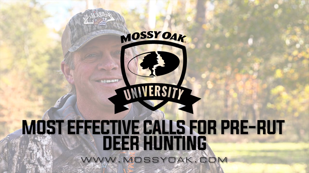 PreRut Deer Calling Tactics What Calls Work Best Mossy Oak GO