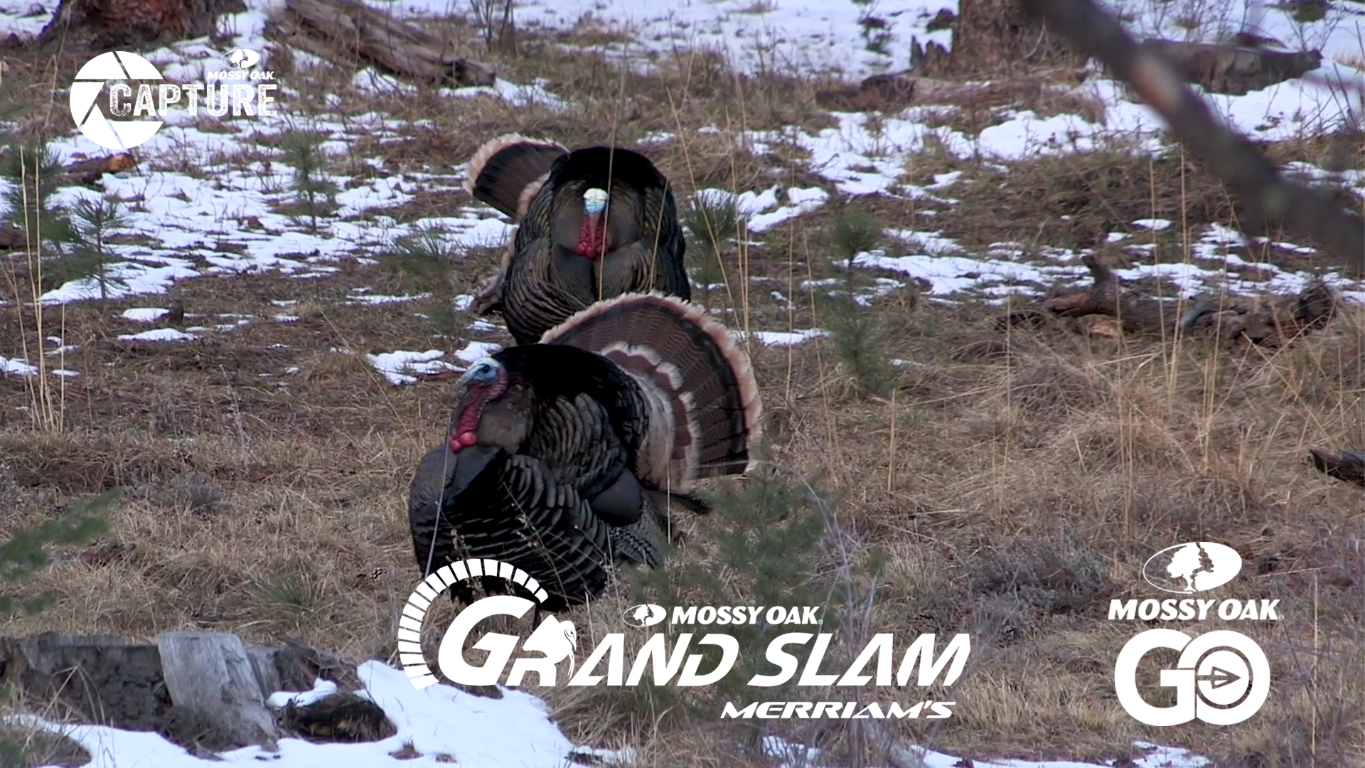 Grand Slam • Episode 10 • Merriams