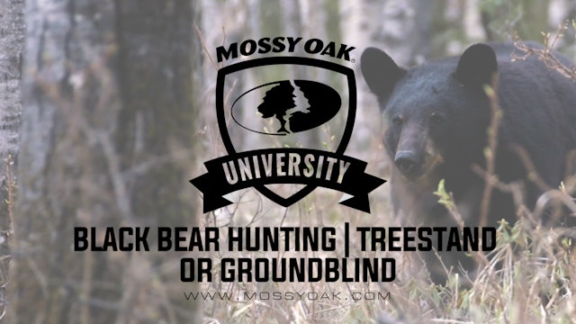 Black Bear Hunting Treestand vs Ground Blind • MOU