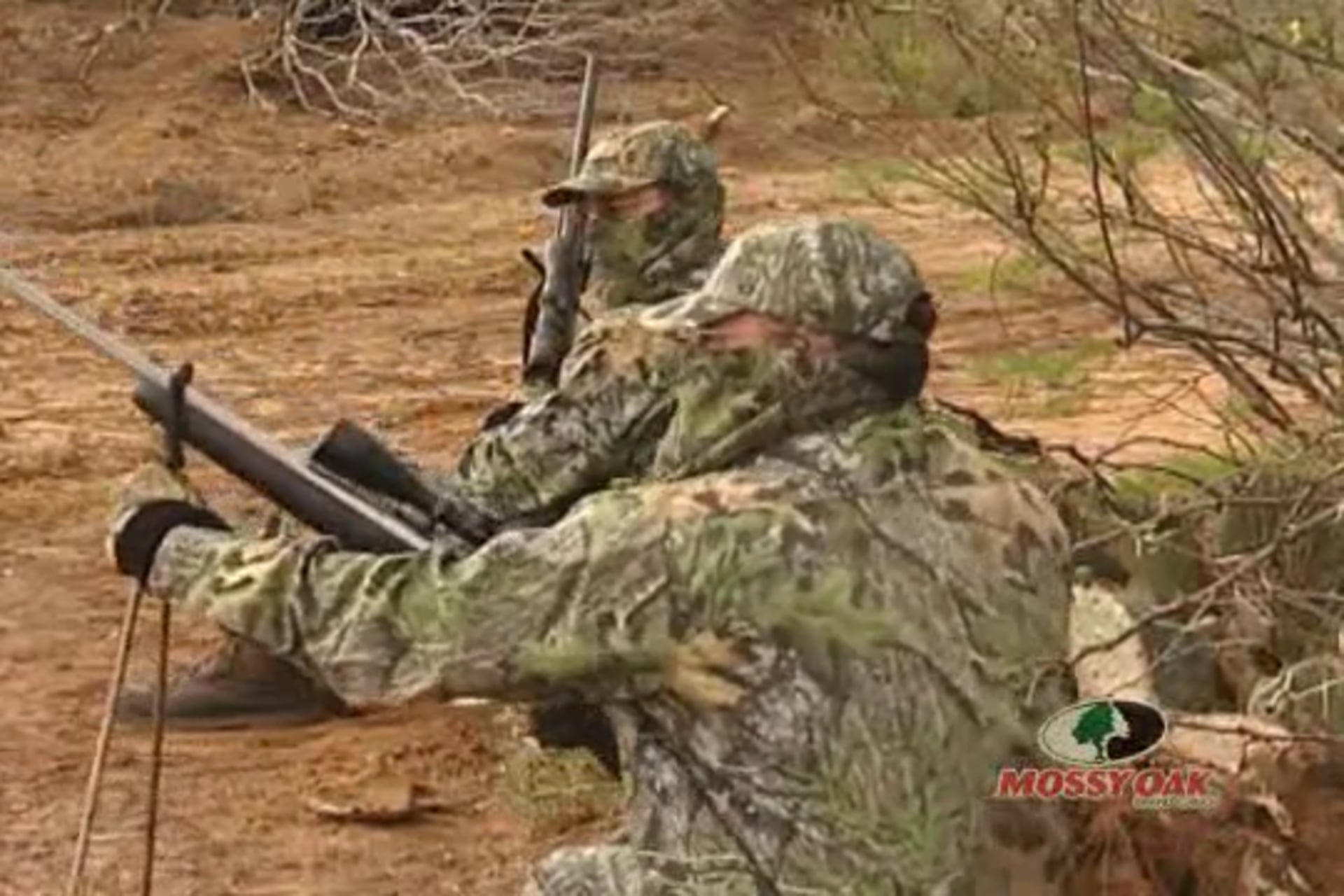 Song Dog Serenade • Predator Hunting in Texas