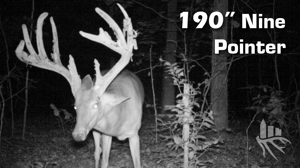 Lefty (Part 1) • Seek One