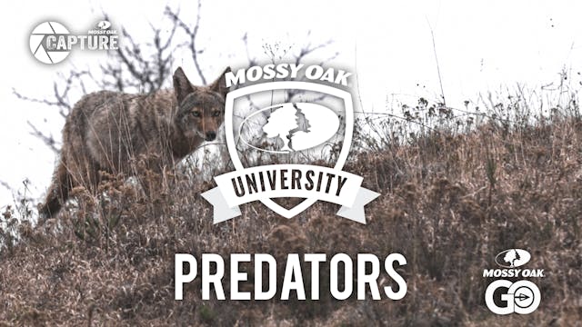 Predator •  Mossy Oak University