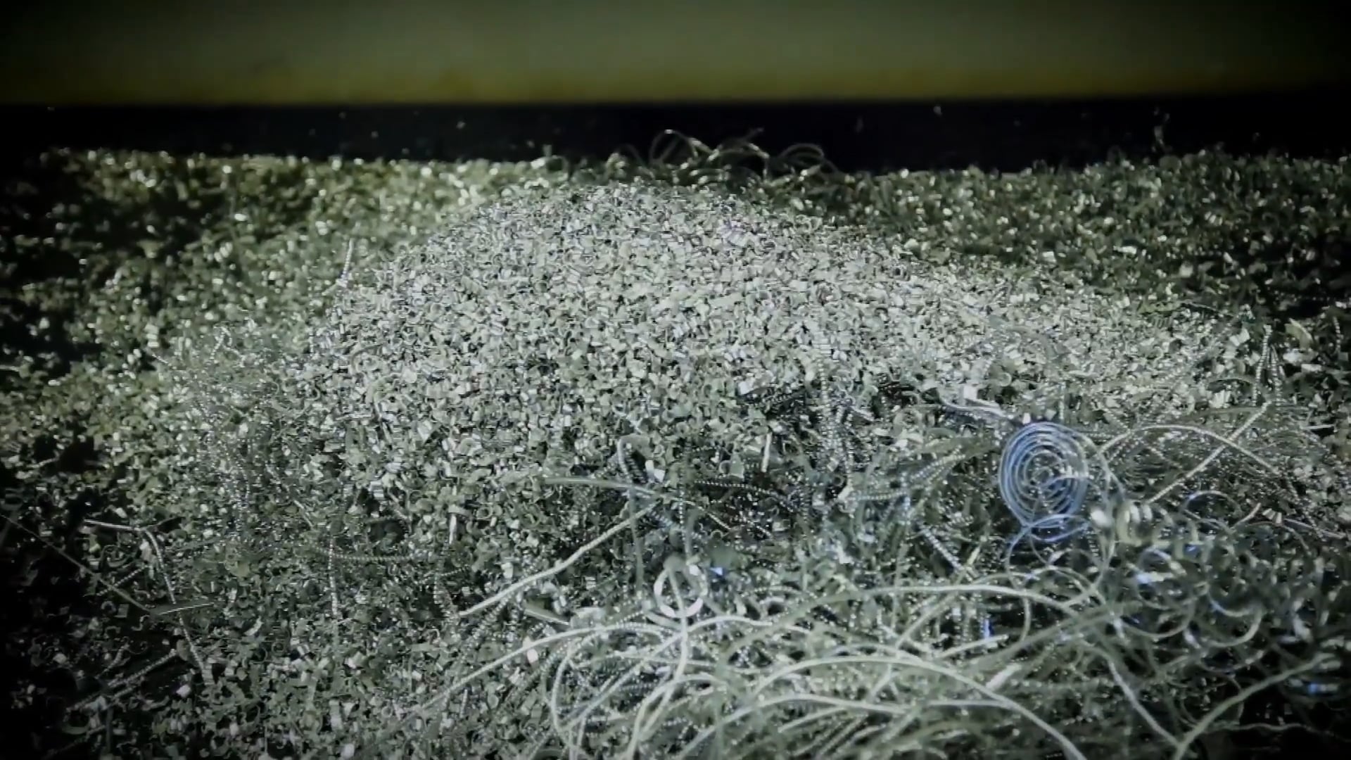 Island Time, Part 2 • Big Bucks in Mississippi