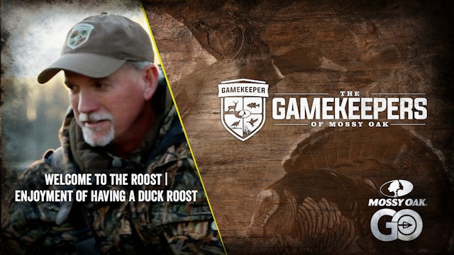 Welcome to the Roost, Baby • The Enjoyment of Having a Duck Roost