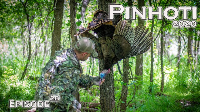 Pinhoti 2020 Ep 28 • Pinhoti Project