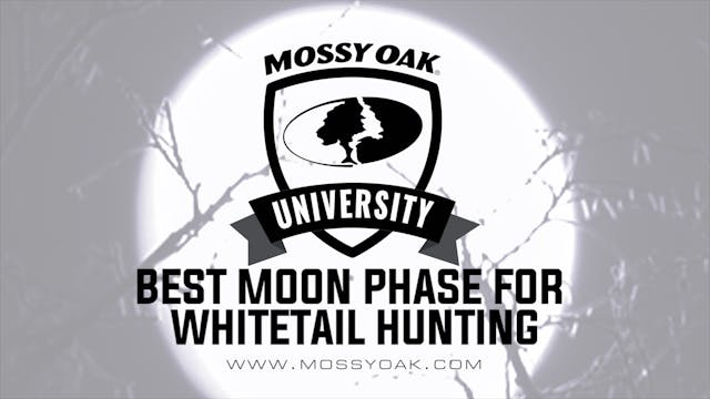 Best Moon Phase for Whitetail Deer Hu...