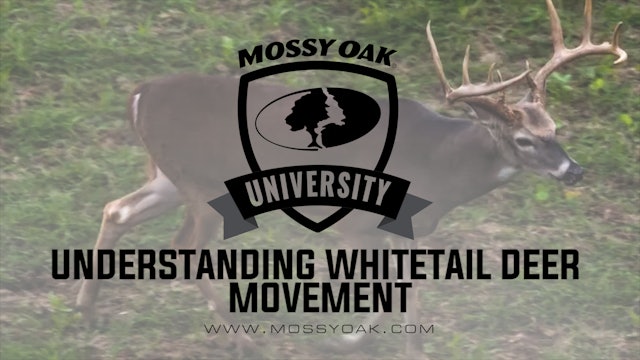 Understanding Deer Movement