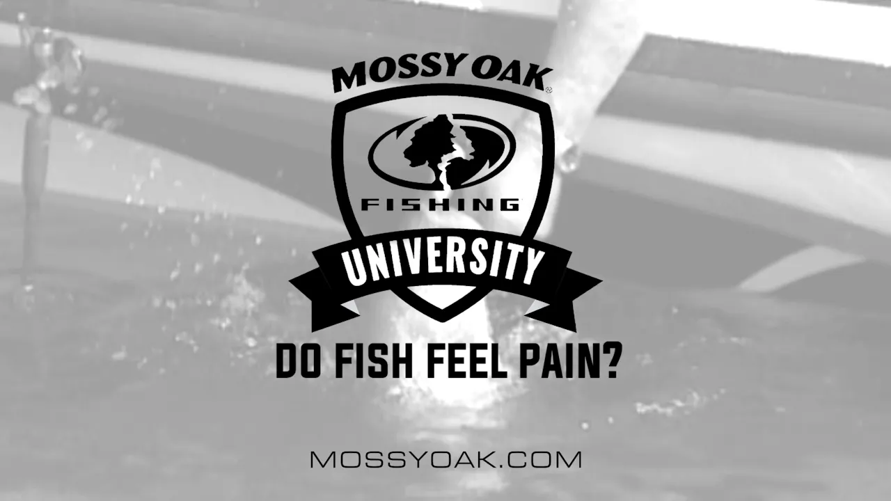 Do Fish Feel Pain • Fishing Tips with Bill Dance - Season 1 - Mossy Oak GO