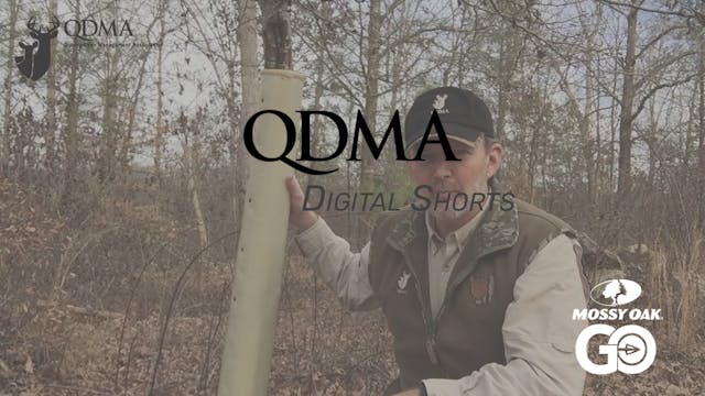 Tree Tube Use • QDMA Shorts